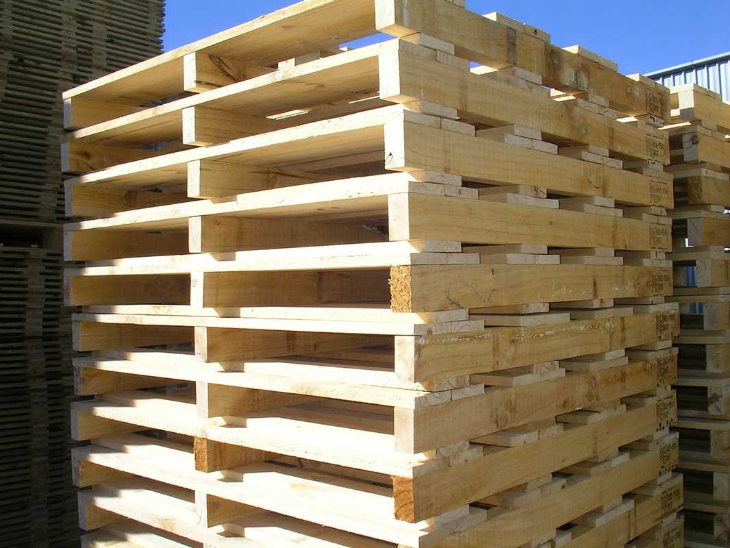Pine pallet
